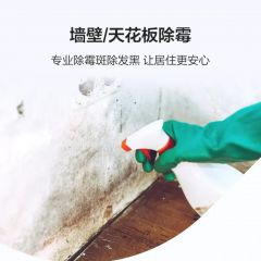 墙壁/天花板除霉