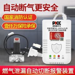 无线燃气报警器 产品